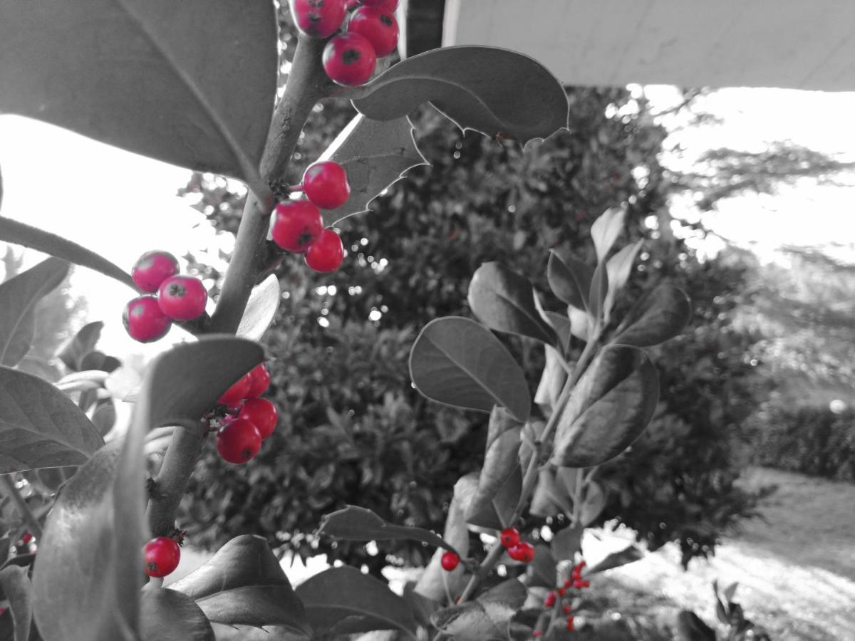 Kalispéra B&B Guidonia Esterno foto